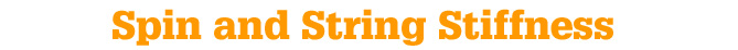 Spin and String Stiffness