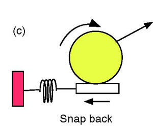 String snap-back model of spin production.