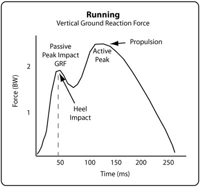 Ground reaction force vs time for running.