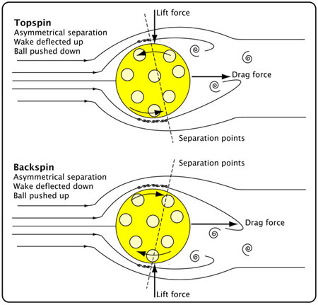 Figure showing air flow caused by spin around a pickleball.